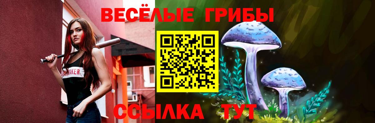 Галлюциногенные грибы мухоморы Усолье-Сибирское